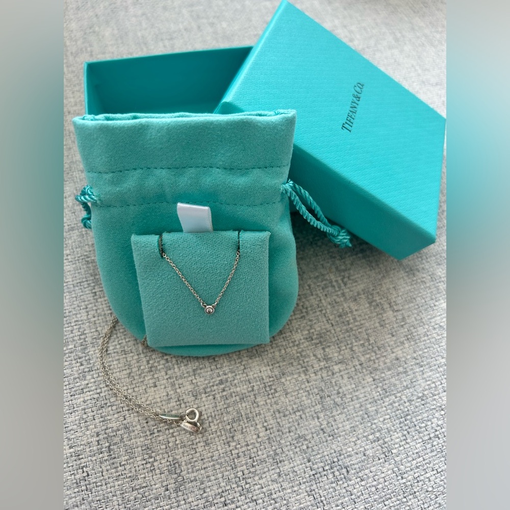 Tiffany Elsa Peretti Diamonds by the Yard® Single Diamond Pendant in Silver